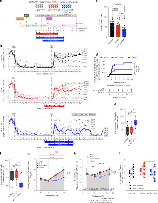 Dual blockade of IL-10 and PD-1 leads to control of SIV viral rebound following analytical treatment interruption