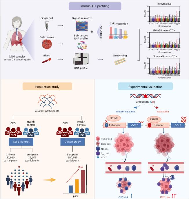 Genomic map of the cellular composition of the tumor microenvironment