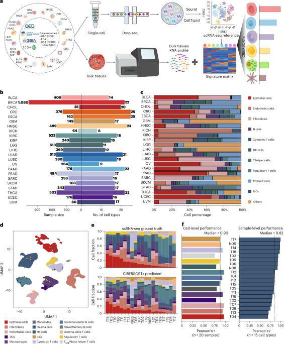 An atlas of genetic effects on cellular composition of the tumor microenvironment