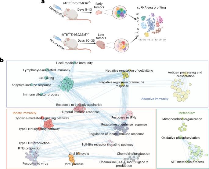 Emerging tumor repression of immune recognition is reversed by inhibiting DNA methylation