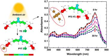 Effect of molecular structure on the photochemical stability of acceptor and donor polymers used in organic solar cells†