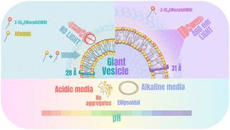 Photo- and pH-responsive giant vesicles: harnessing the properties of surface-active ionic liquids in designing dual-responsive catanionic vesicles†