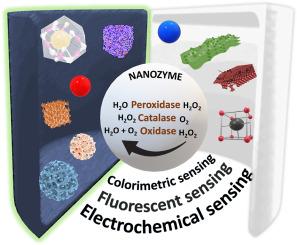 Recent advancements in nanozyme hydrogel based system for enhanced sensing applications