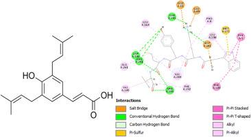 In vitro and in silico therapeutic properties of Artepillin C and Aromadendrin as collagenase and elastase inhibitors and investigation of anti-Ovarian cancer effects and antioxidant potential