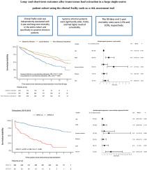 Long- and short-term outcomes after transvenous lead extraction in a large single-centre patient cohort using the clinical frailty scale as a risk assessment tool