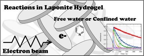 Ionizing radiation induced reaction in nanoclay hydrogel