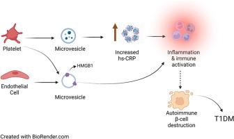 Pathogenic mechanisms, diagnostic, and therapeutic potential of microvesicles in diabetes and its complications