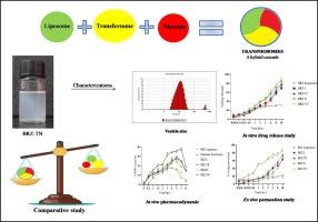 A one-platform comparison study of brinzolamide-loaded liposomes, niosomes, transfersomes, and transniosomes for better management of glaucoma