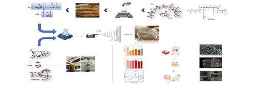 Synergistic antibacterial and wound healing effects of chitosan nanofibers with ZnO nanoparticles and dual antibiotics