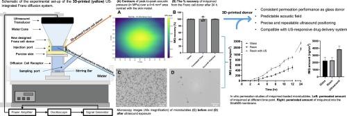 Ultrasound-compatible 3D-printed Franz diffusion system for sonophoresis with microbubbles