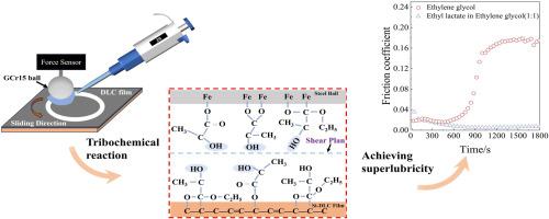 Macroscopic superlubricity achieved by hydrolysis reaction of ethyl lactate on silicon-doped diamond-like carbon film