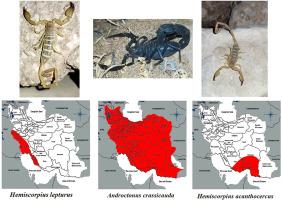 Distribution mapping of deadly scorpions in Iran