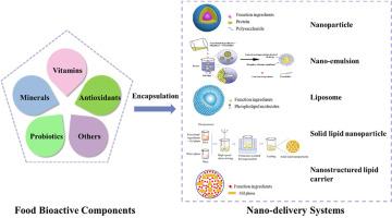 Research progress on the nano-delivery systems of food-derived bioactive components