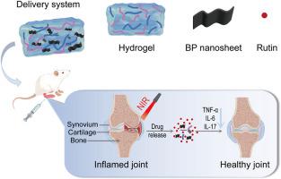 The combination of hydrogels and rutin-loaded black phosphorus nanosheets treats rheumatoid arthritis