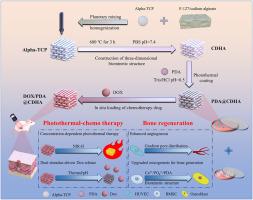 Polydopamine-functionalized calcium-deficient hydroxyapatite 3D-printed scaffold with sustained doxorubicin release for synergistic chemo-photothermal therapy of osteosarcoma and accelerated bone regeneration