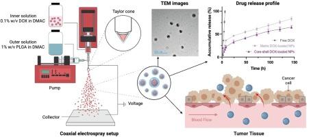 Controlled release of doxorubicin from Poly-(D,L-lactide-co-glycolide) (PLGA) nanoparticles prepared by coaxial electrospraying