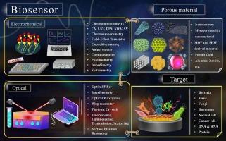 Nanoporous structures-based biosensors for environmental and biomedical diagnostics: Advancements, opportunities, and challenges