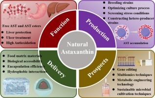 Advance toward function, production, and delivery of natural astaxanthin: A promising candidate for food ingredients with future perspectives