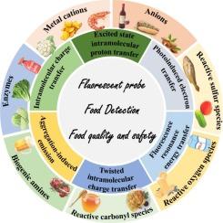 Recent design strategies and applications of small molecule fluorescent probes for food detection