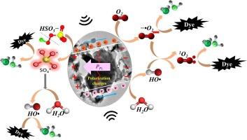 MoS2@Hydrochar nanocomposites with cost-effective fluid turbulent eddies induced piezoelectric catalytic peroxymonosulfate utilization efficiency for water polluted dye degradation