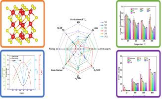 Microstructure and tribological performance of novel Ni-based alloy cladding with excellent high temperature wear resistance and self-lubrication performance