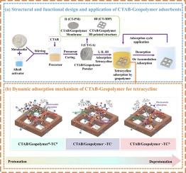 Structural and functional design of CTAB-geopolymer adsorbents for rapid removal of tetracycline: A comparative study