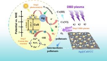 Ag@CuS/CC electrode promoting antibiotics removal in DBD system: Mechanism analysis and practical application