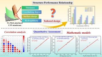 Quantitative assessment of structure-performance relationship of loose nanofiltration membranes with TA-MoS2 interlayer for effective dye/salt separation