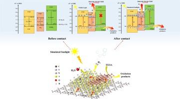 Rational construction p-n heterojunction Ni(OH)2/NiS2 on g-C3N4 nanosheet to promote the charge carriers separation efficiency for boosting photocatalytic hydrogen evolution