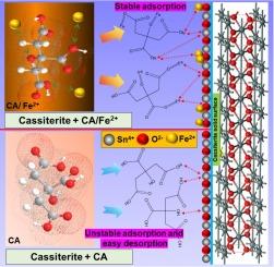 A novel mixed depressant for the flotation separation of scheelite and cassiterite: Adsorption mechanism and performance