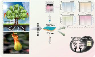 An adaptive and fast emulsion separation Janus membrane