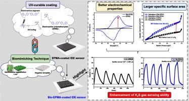 Blueprinted from nature: Duplicating the surface of Xanthosoma sagittifolium leaf on UV-curable electroactive polymethacrylate film through biomimicking technique for H2S gas sensing