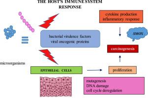 Analysis of Spermine Oxidase gene and proinflammatory cytokines expression in gastric cancer patients with and without Helicobacter pylori infection – A pilot study in Polish population