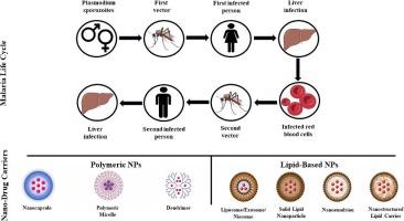 Nanotechnology based drug delivery systems for malaria