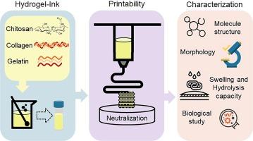 Optimization of chitosan-gelatin-based 3D-printed scaffolds for tissue engineering and drug delivery applications