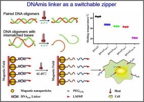 Temperature switchable linkers suitable for triggered drug release in cancer thermo-chemotherapy