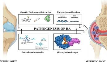 Genetics, epigenetics and autoimmunity constitute a Bermuda triangle for the pathogenesis of rheumatoid arthritis