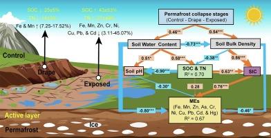 Effects of permafrost collapse on soil carbon, nitrogen, and metal elements on the Qinghai-Tibet Plateau