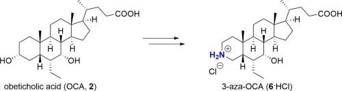 An efficient regioconvergent synthesis of 3-aza-obeticholic acid