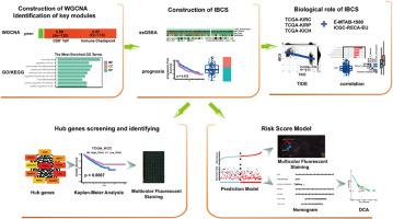 The immunotherapy-based combination associated score as a robust predictor for outcome and response to combination of immunotherapy and VEGF inhibitors in renal cell carcinoma