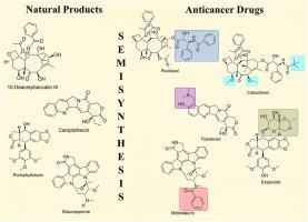 Semisynthesis: Bridging natural products and novel anticancer therapies