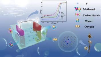 Biomass carbon with defective structures as effective ORR catalyst for DMFC