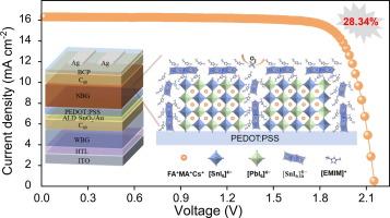 Regulating crystallization and retarding oxidation in Sn-Pb perovskite via 1D cation engineering for high performance all-perovskite tandem solar cells