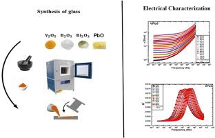 Electrical characterization of lead-modified bismuth borovanadate glasses