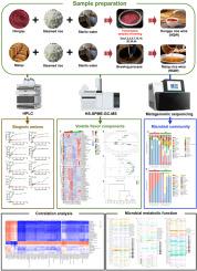 Metagenomics reveals the differences in flavor quality of rice wines with Hongqu and Maiqu as the fermentation starters