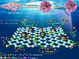 One-step self-assembled ZIF-derived flower-like carbon enhances reactivity of zero-valent iron during persulfate activation