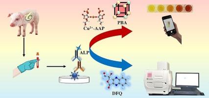 Dual-mode colorimetric–fluorometric immunoassay for foodborne parasitic infection