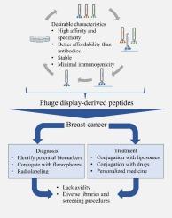 Phage display screening in breast cancer: From peptide discovery to clinical applications