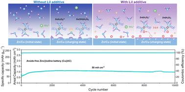 Identifying iodide-ion regulation of early-stage zinc nucleation and growth for high-rate anode-free zinc metal batteries†