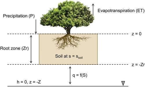 Multi-Scale Soil Salinization Dynamics From Global to Pore Scale: A Review